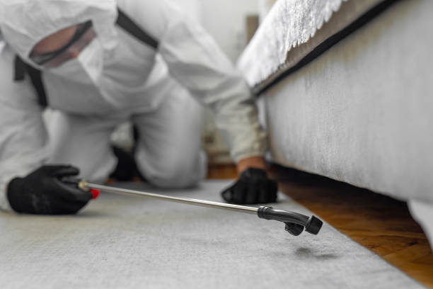 Professional Bed Bug Control technician working in Wurtsboro, NY