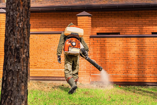 Trusted Rodent Control service in Wurtsboro, NY - Nex Pest Control